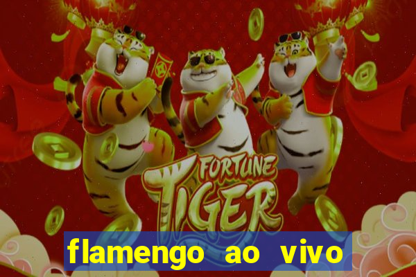 flamengo ao vivo hd play